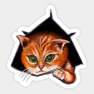 Cat peekaboo - cute stowaway kitten playing peekaboo from a rip torn hole! For those who love Cute cats Sticker